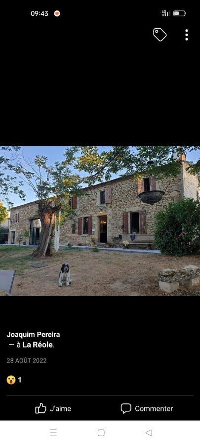 Chambres 2 Personnes Dans Notre Maison Girondine Saint-Martin-de-Lerm Eksteriør billede